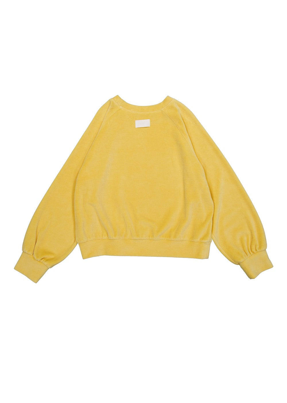 upload_20240925__APA3SW040MGFF_34_velour sweatshirt-yellow_10.jpg