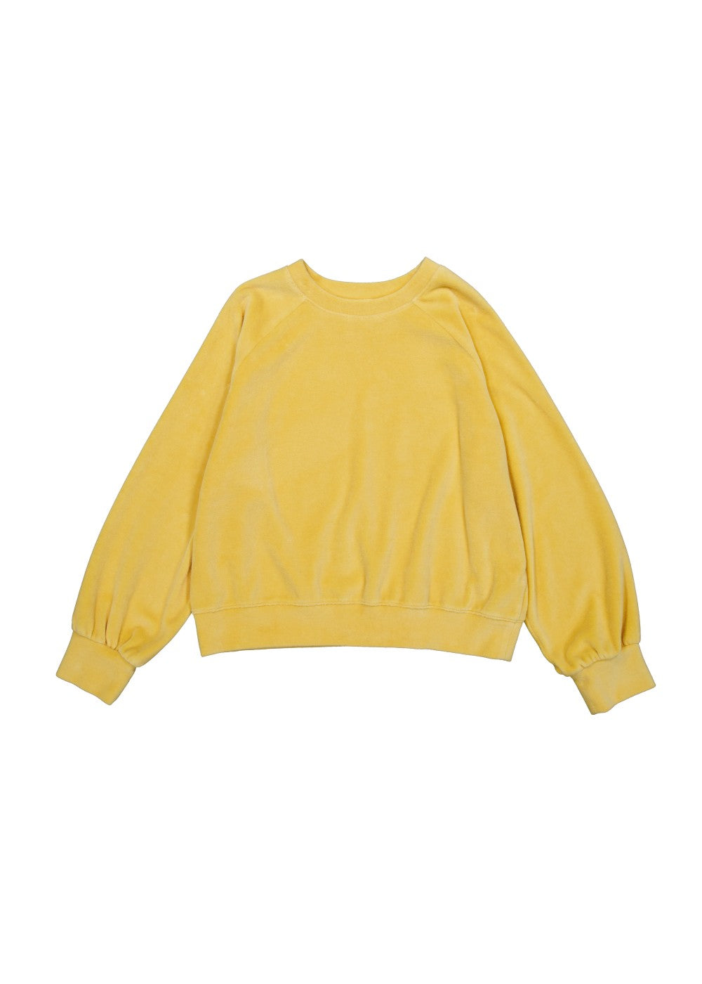 upload_20240925__APA3SW040MGFF_33_velour sweatshirt-yellow_9.jpg